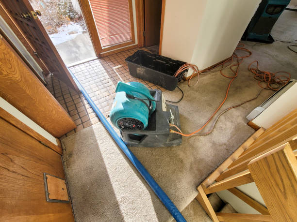 Best Residential water damage restoration  in Sunset Hills, MO