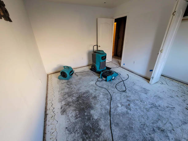 Best Professional water damage repair  in Sunset Hills, MO