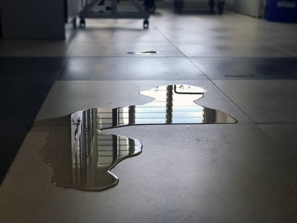 Best Water damage restoration near me  in Sunset Hills, MO