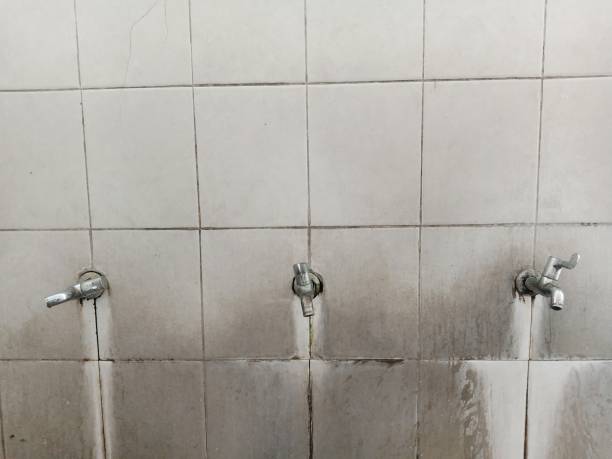 Best Fire Damage Restoration  in Sunset Hills, MO