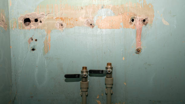 Best Emergency water damage restoration  in Sunset Hills, MO