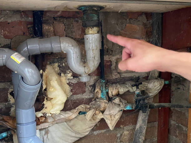 Best Water damage restoration near me  in Sunset Hills, MO