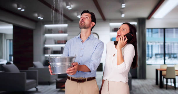 Best Water damage cleanup near me  in Sunset Hills, MO